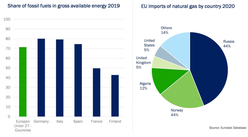 Share of fossil fuel and natural gas import into EU.